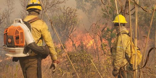 Imagem referente a Ações do país evitaram cenário pior de secas e queimadas, diz Marina