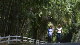 Após incêndios, São Paulo reabre hoje 69 parques estaduais