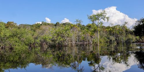 Imagem referente a Rio Negro pode passar por pior seca da história ainda esta semana