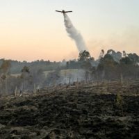 Imagem referente a Aviões contratados pelo Estado reforçam combates a dois incêndios em Ponta Grossa