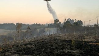 Aviões contratados pelo Estado reforçam combates a dois incêndios em Ponta Grossa