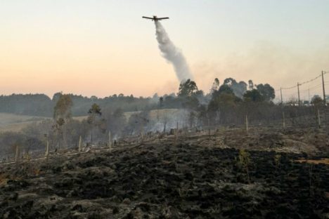 Imagem referente a Aviões contratados pelo Estado reforçam combates a dois incêndios em Ponta Grossa