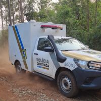 Imagem referente a Homem morre ao ser atingido por árvore em Rio do Salto