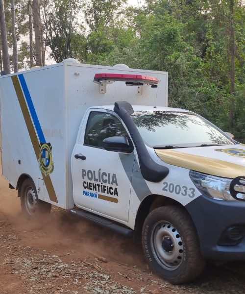 Imagem referente a Homem morre ao ser atingido por árvore em Rio do Salto