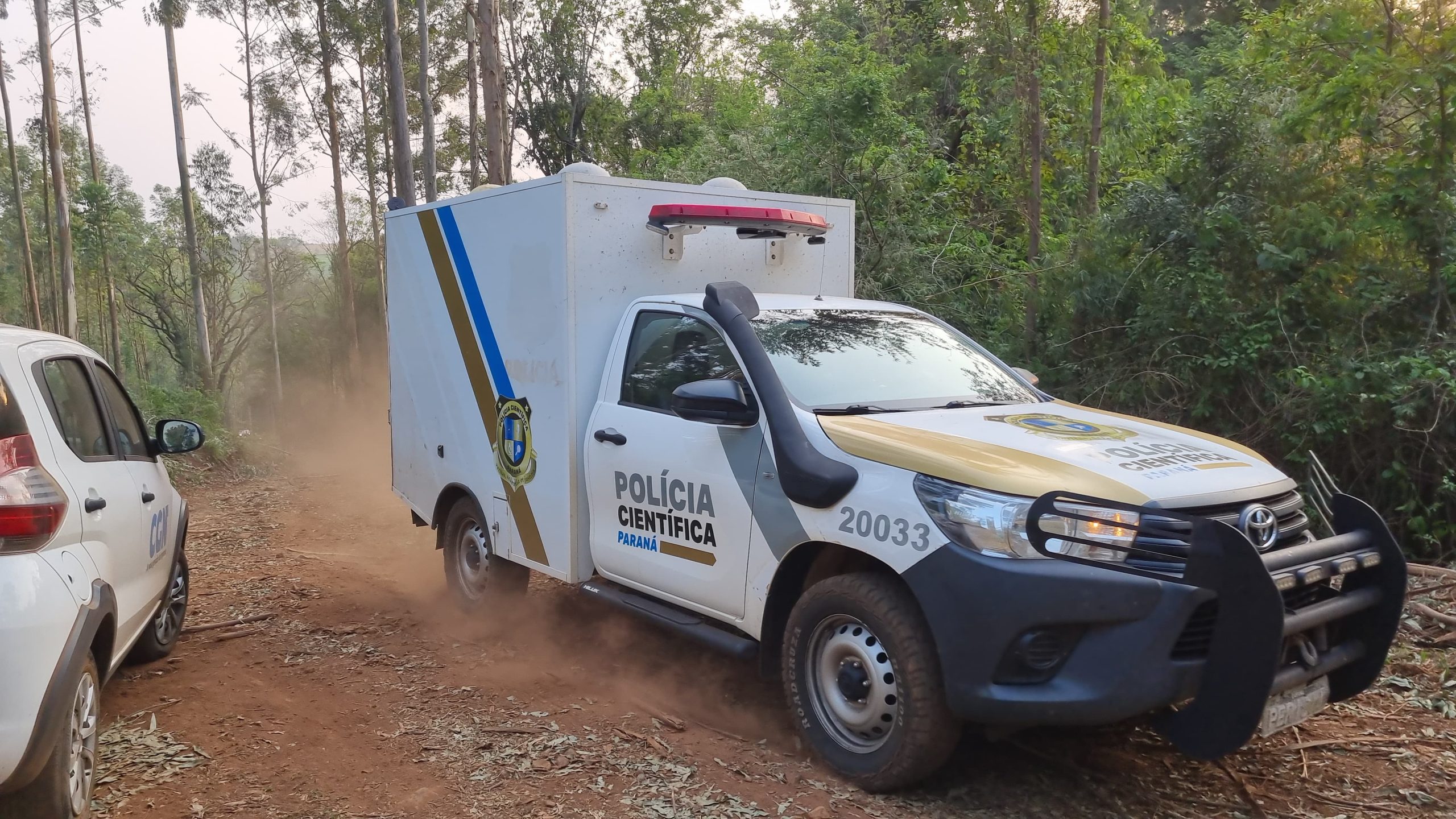 Imagem referente a Homem morre ao ser atingido por árvore em Rio do Salto