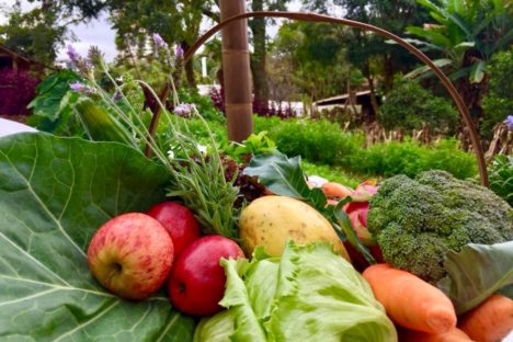 Imagem referente a Paraná chega a 319 municípios integrados ao sistema nacional de segurança alimentar