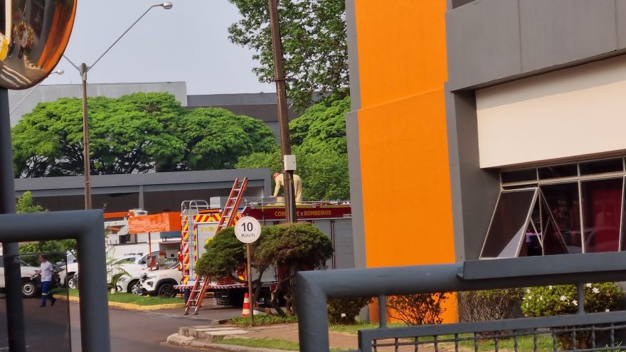 Bombeiros são acionados para corte de árvore no pátio da Copel, na Rua Vitória