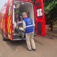 Imagem referente a Idoso é atacado por cachorro no bairro Universitário