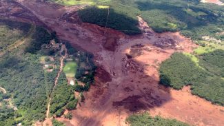 Brumadinho: CVM indica multa de R$ 27 mi a ex-diretor da Vale