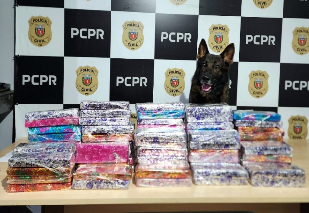 Denarc apreende 55kg de maconha em veículo de aplicativo