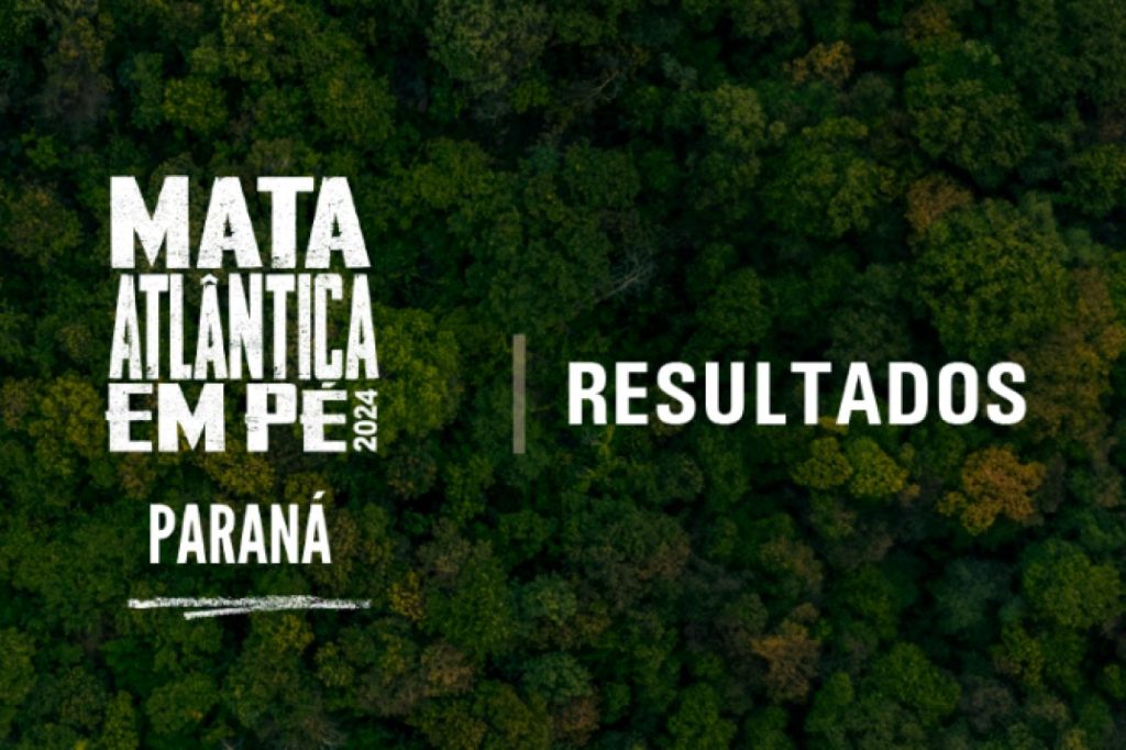 Operação no Paraná identifica 1,4 mil hectares de desmatamento e aplica R$ 13 milhões em multas