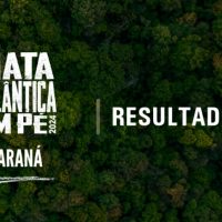 Imagem referente a Operação no Paraná identifica 1,4 mil hectares de desmatamento e aplica R$ 13 milhões em multas