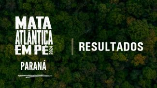 Operação no Paraná identifica 1,4 mil hectares de desmatamento e aplica R$ 13 milhões em multas