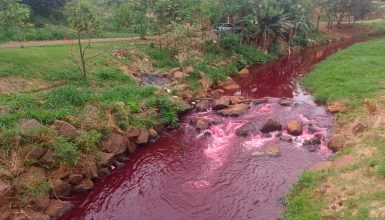 Imagem referente a Rio Toledo está vermelho! Entenda o que ocorreu