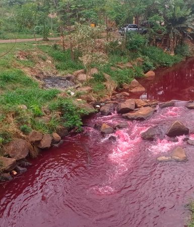 Imagem referente a Rio Toledo está vermelho! Entenda o que ocorreu