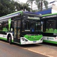 Imagem referente a Cascavel em choque: ônibus elétricos batem na Avenida Brasil