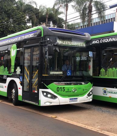 Imagem referente a Cascavel em choque: ônibus elétricos batem na Avenida Brasil