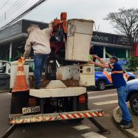 Imagem referente a Defesa Civil remove enxame de abelhas na fiação elétrica da Rua Erechim