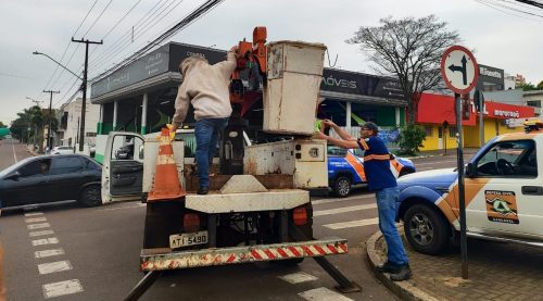 Imagem referente a Defesa Civil remove enxame de abelhas na fiação elétrica da Rua Erechim