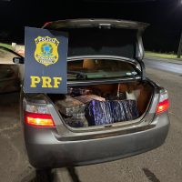 Imagem referente a Perseguição policial termina com apreensão de maconha na BR-163