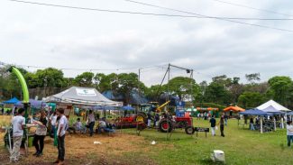 Alunos de colégio agrícola apresentam 35 projetos de soluções para o agronegócio