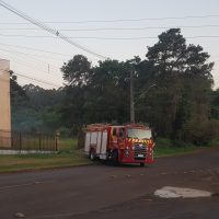 Imagem referente a Corpo de Bombeiros combate incêndio em vegetação na Rua Vinicius de Moraes