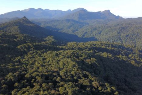 Imagem referente a Com apoio do Estado, oito soluções para a Mata Atlântica receberão R$ 2,9 milhões