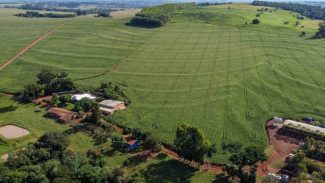 IAT reforça importância da atualização regular do Cadastro Ambiental Rural