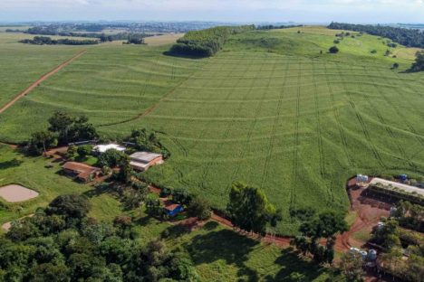 Imagem referente a IAT reforça importância da atualização regular do Cadastro Ambiental Rural