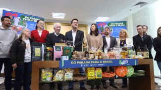 Aplicativo da Shopee vira vitrine de produtos de pequenos empreendedores do Paraná