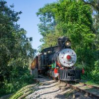 Imagem referente a Público já pode comprar passeios de Natal na locomotiva mais antiga do Paraná