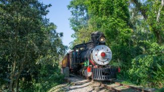 Público já pode comprar passeios de Natal na locomotiva mais antiga do Paraná