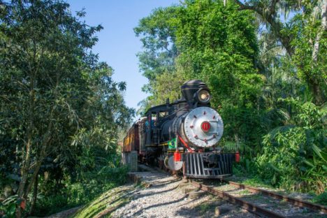 Imagem referente a Público já pode comprar passeios de Natal na locomotiva mais antiga do Paraná