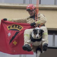 Imagem referente a Corpo de Bombeiros simula resgate em altura e chama a atenção no centro de Curitiba