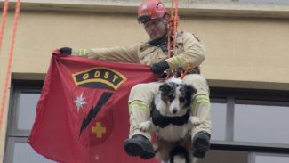 Corpo de Bombeiros simula resgate em altura e chama a atenção no centro de Curitiba