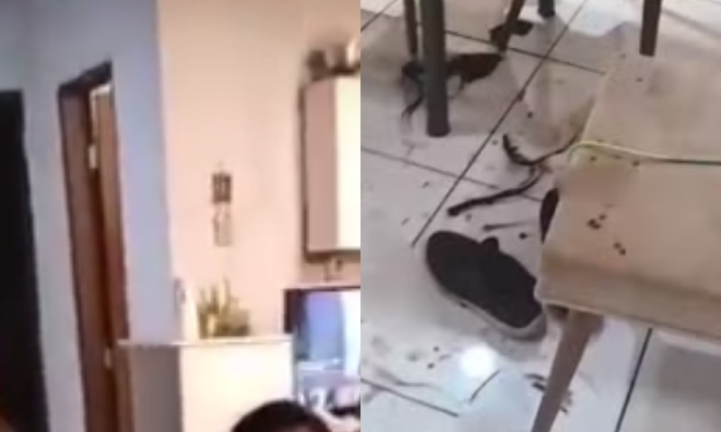 Homem invade casa da ex, esfaqueia ela e o namorado e ainda filma vítimas feridas