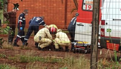 Imagem referente a Homem invade propriedade e é atacado por 98 cães