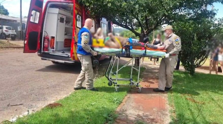 Homem fica ferido ao cair de árvore no Turisparque