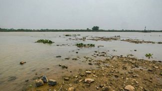 Rio Paraguai registra mínima histórica em ano mais seco no Pantanal