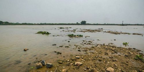 Imagem referente a Rio Paraguai registra mínima histórica em ano mais seco no Pantanal