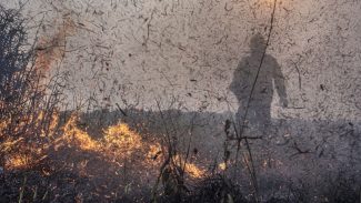 Focos de incêndios no Brasil já são 76% maior que em 2023