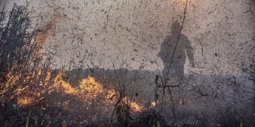 Imagem referente a Focos de incêndios no Brasil já são 76% maior que em 2023