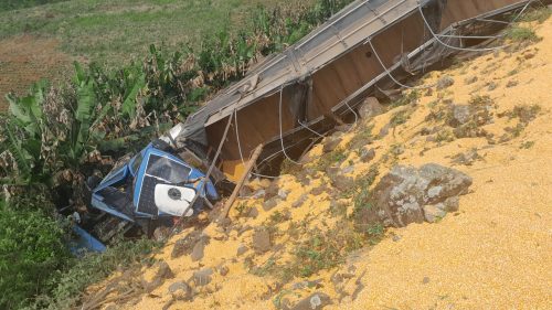 Imagem referente a Acidente na PR-483: Caminhoneiro morre após carreta descer ribanceira