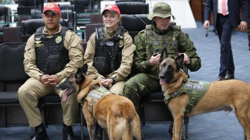 Imagem referente a Cães farejadores do BPFron são homenageados na Assembleia