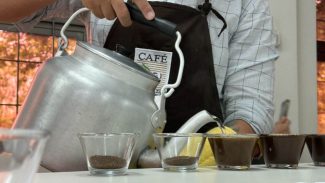 Concurso Café Qualidade Paraná dá início ao julgamento dos lotes inscritos