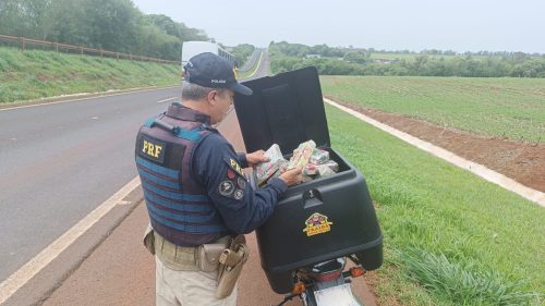 Imagem referente a Motoboy audacioso é preso com 60 quilos de maconha na BR-277 em São Miguel do Iguaçu