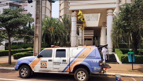 Imagem referente a Defesa Civil retira enxame perigoso de abelhas em edifício no Centro