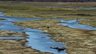 Consórcio Nordeste cria comitê para monitorar emergências climáticas