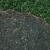 Imagem referente a Greenpeace: imagens mostram novas áreas de garimpo em TIs na Amazônia