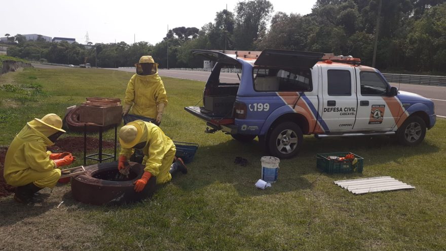 Durante vistoria, Defesa Civil retira enxame de abelhas no Autódromo